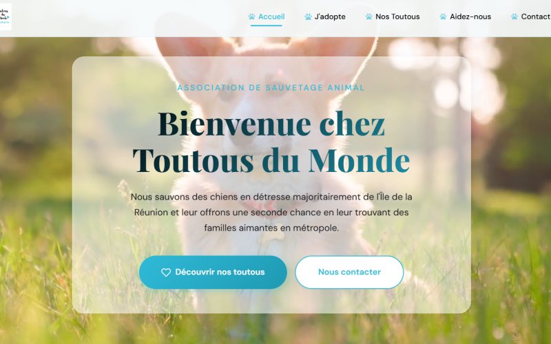Site web Toutous du monde